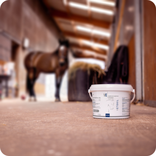 VETOXIL - Miniature 2