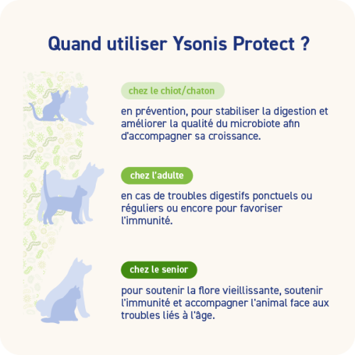 YSONIS PROTECT - Miniature 4
