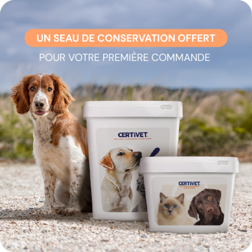 Chien adulte - moyenne et grande race - Miniature 3