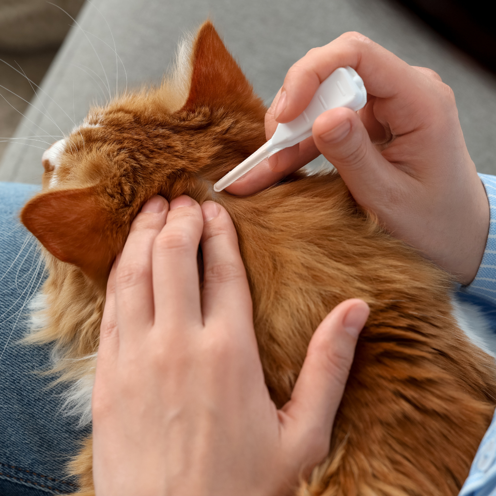 Hygiène parasitaire et entretien du cadre de vie