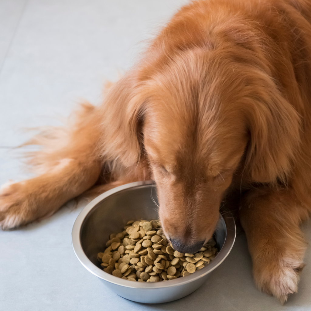 Les causes les plus fréquentes