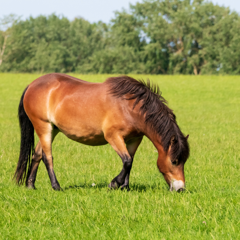 Après le transport : la phase de récupération