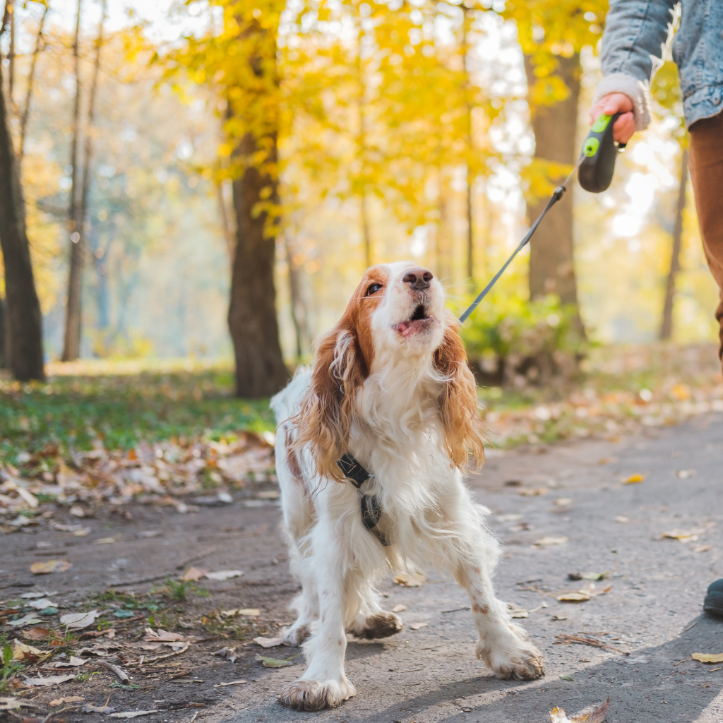 Quels sont les signes à surveiller ?