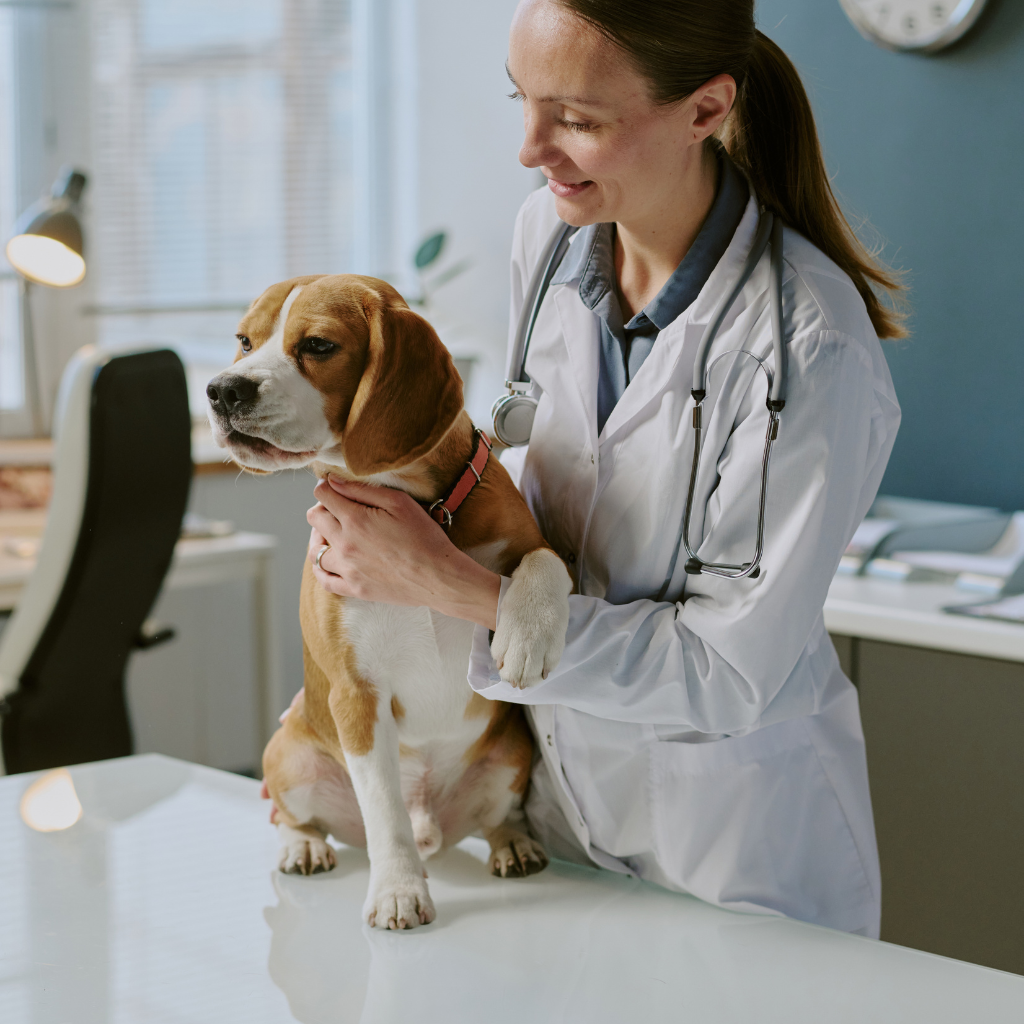 Quel diagnostic vétérinaire ?