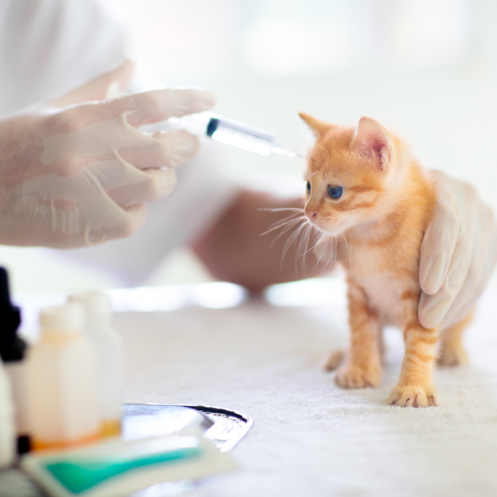 Ce qu'il faut retenir