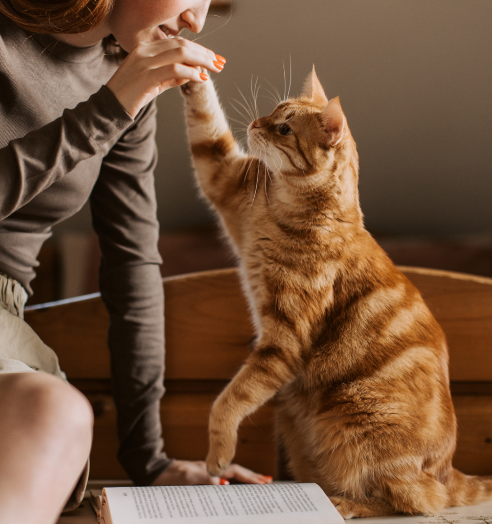 Au besoin, pensez aux alternatives de garde !