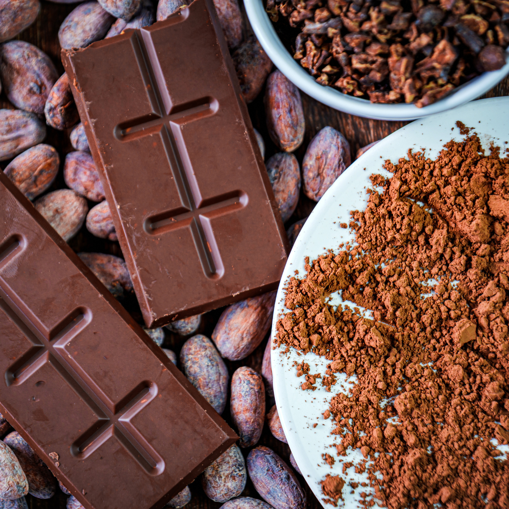 Le chocolat et le cacao