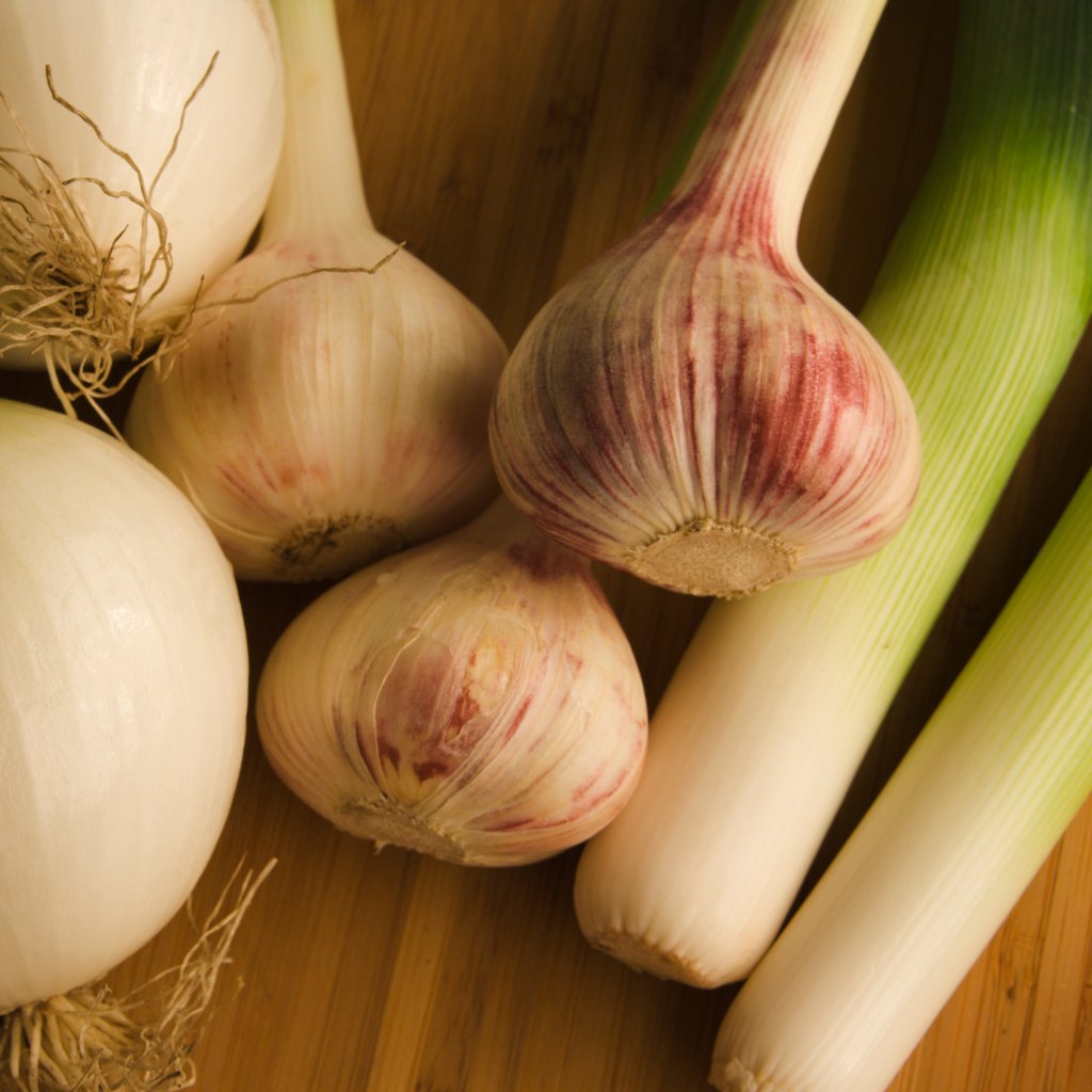 Les oignons, l'ail, le poireau et autres alliacées