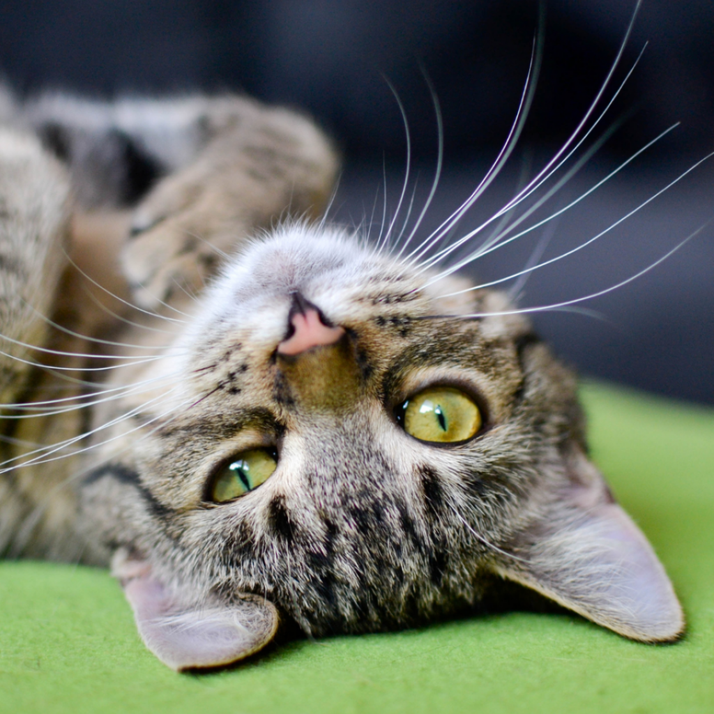 Ce qu'il faut retenir