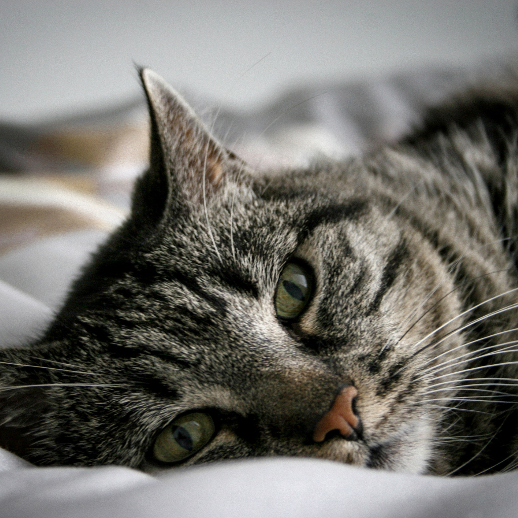 Ce qu'il faut retenir