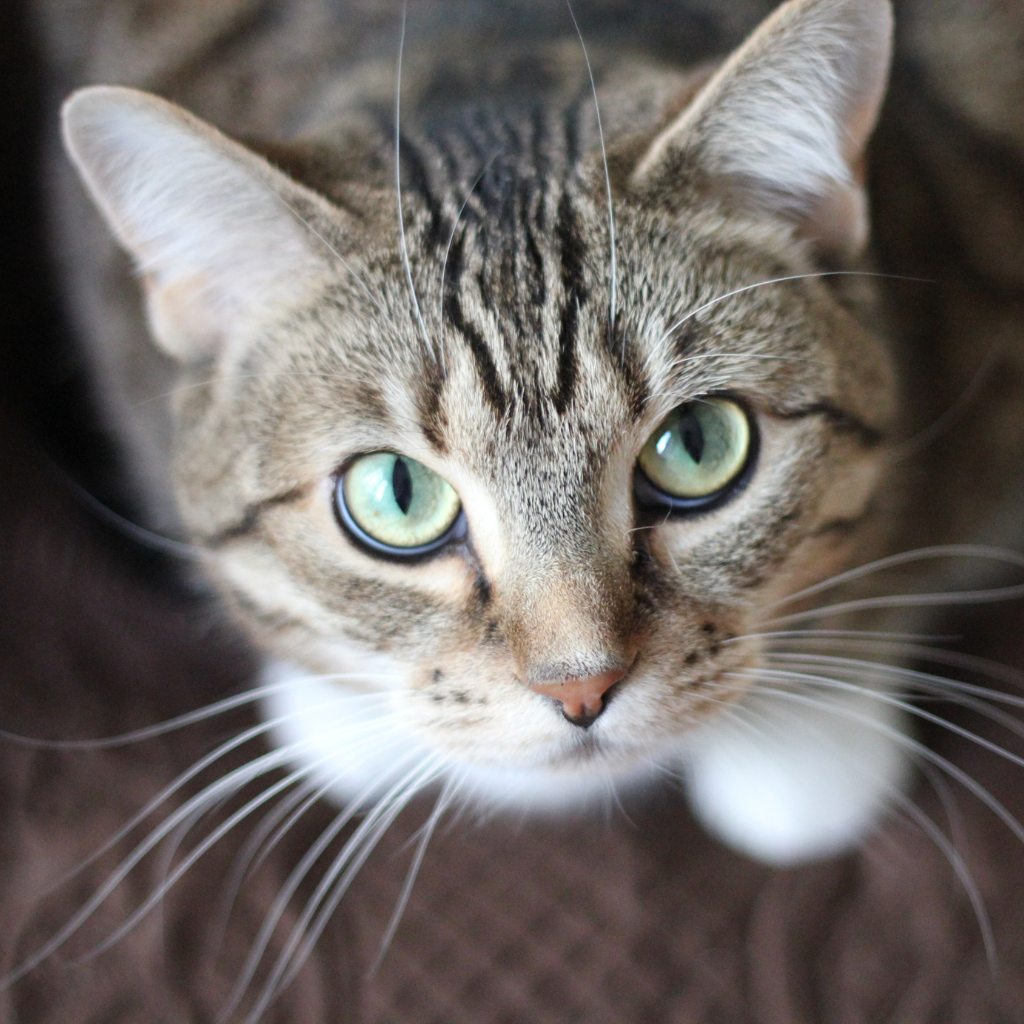 Ce qu'il faut retenir