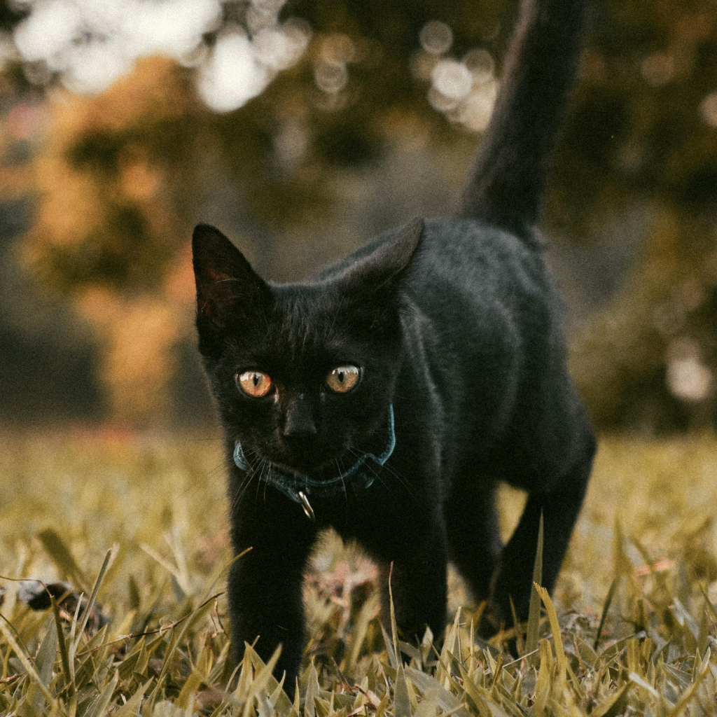 Ce qu'il faut retenir