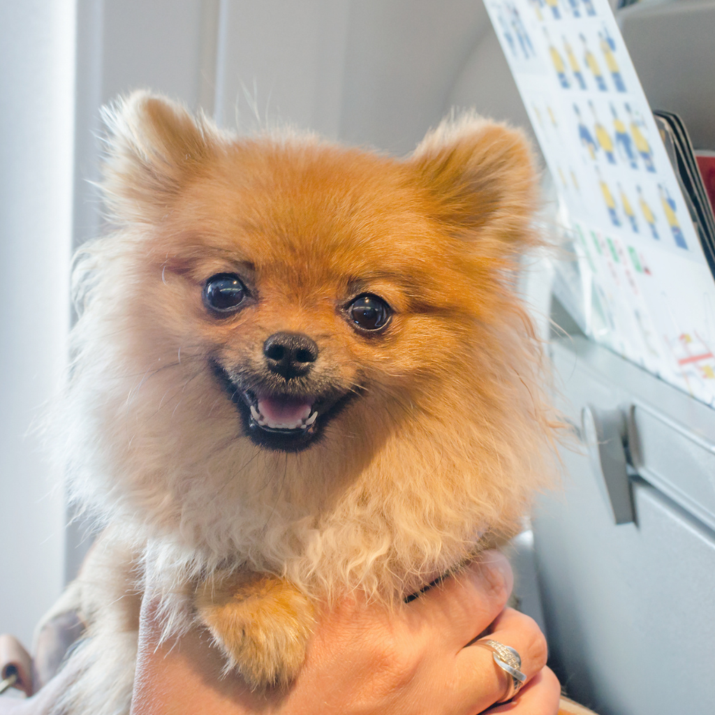 L’avion : une logistique plus exigeante