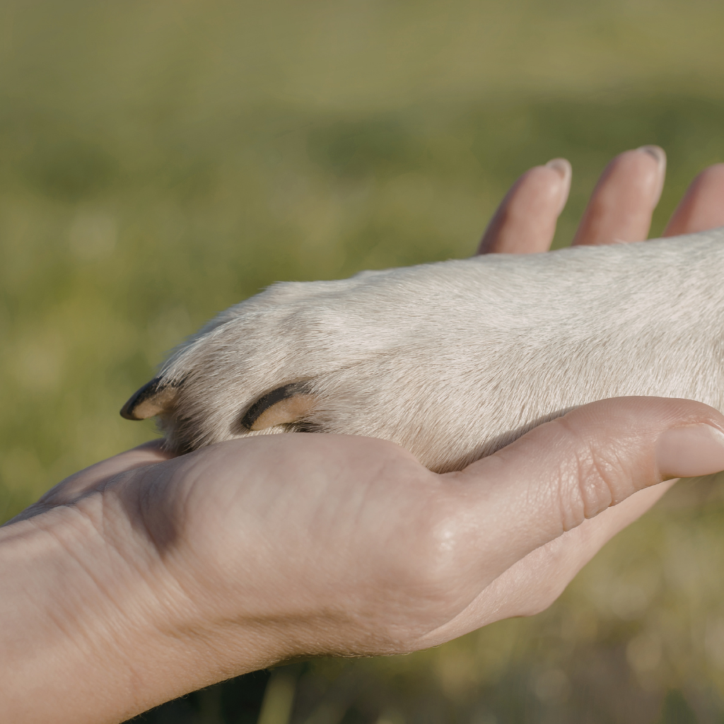 Les risques d'une négligence
