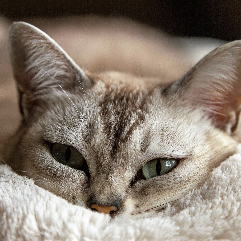 Ce qu'il faut retenir