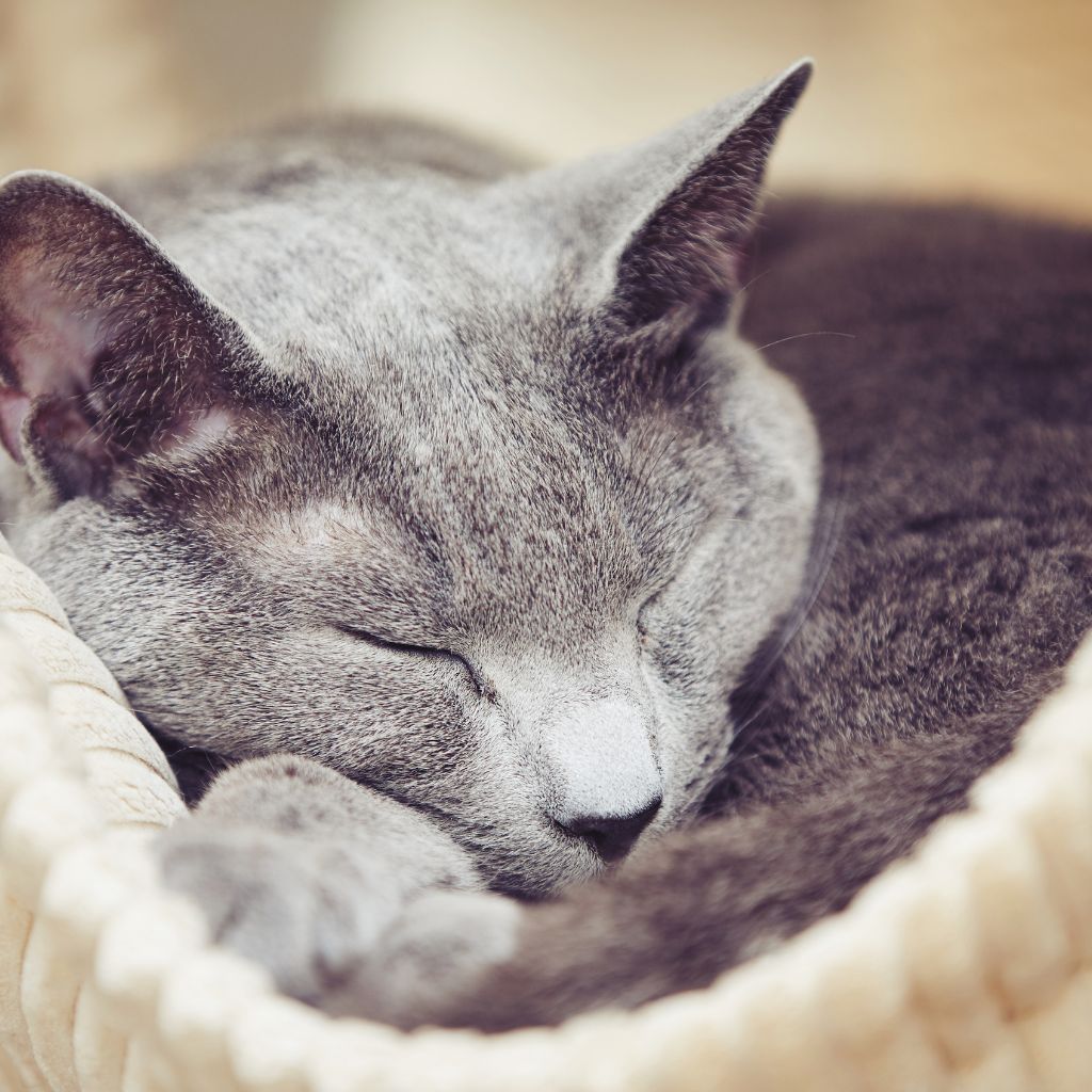 Ce qu'il faut retenir