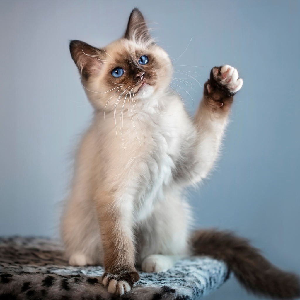 Ce qu'il faut retenir