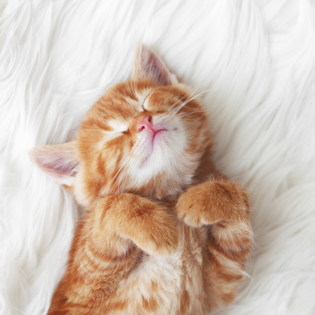 Quand les éternuements sont-ils sans gravité ?