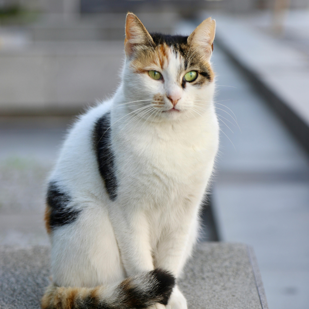 Ce qu'il faut retenir : Les bons réflexes à adopter