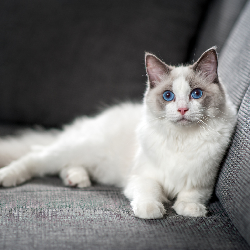 Ce qu’il faut retenir