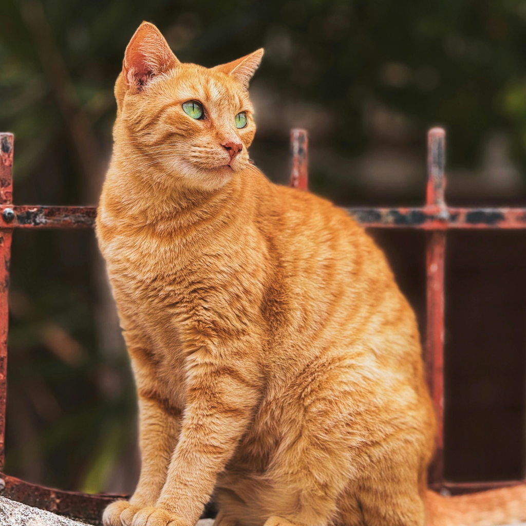 Ce qu'il faut retenir