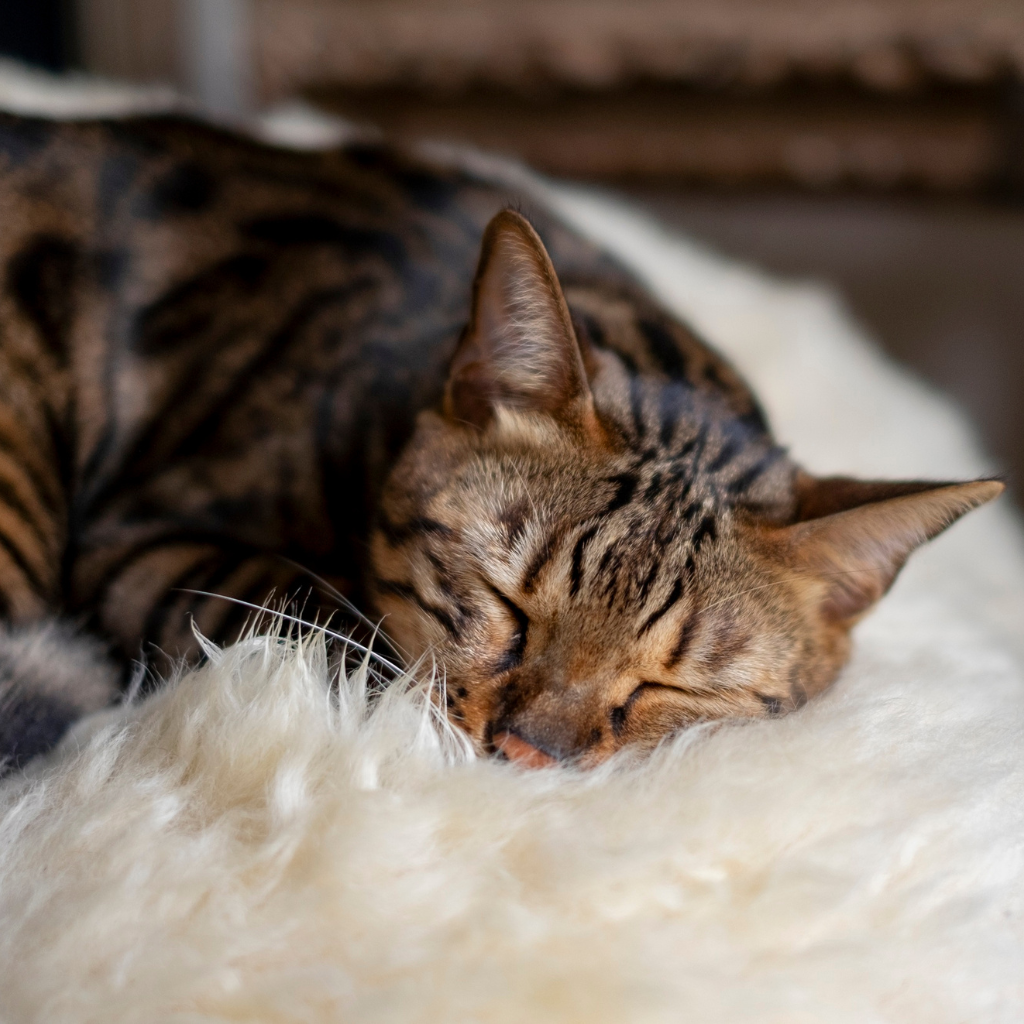 Signes à surveiller