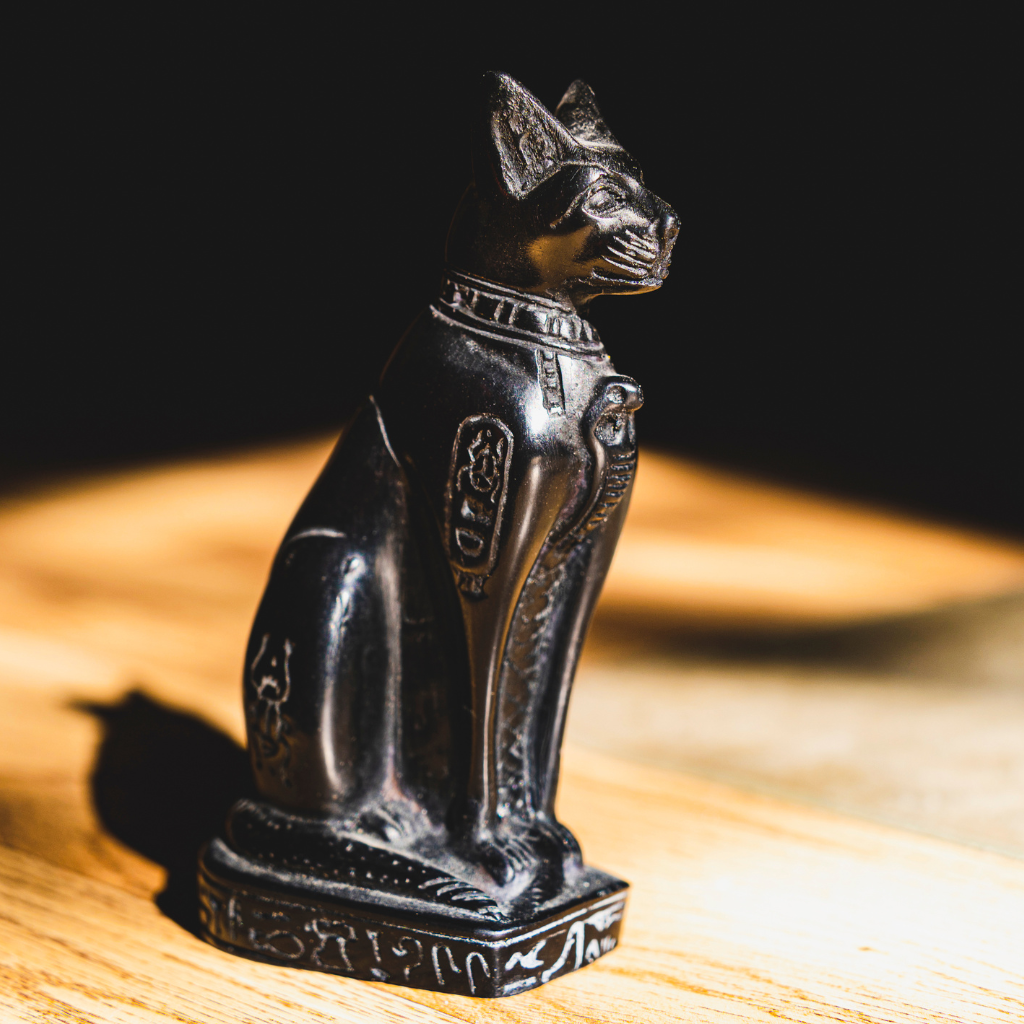 Origines et histoire du Mau Egyptien