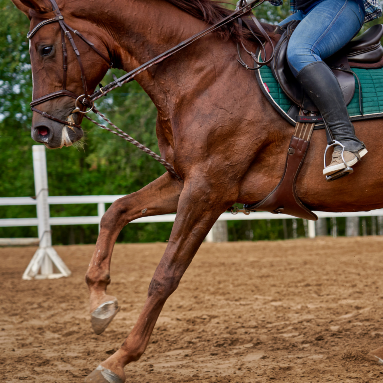 Tendinites : circonstances d’apparition et signes cliniques
