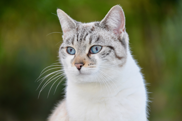 Les méthodes d'éducation les plus efficaces