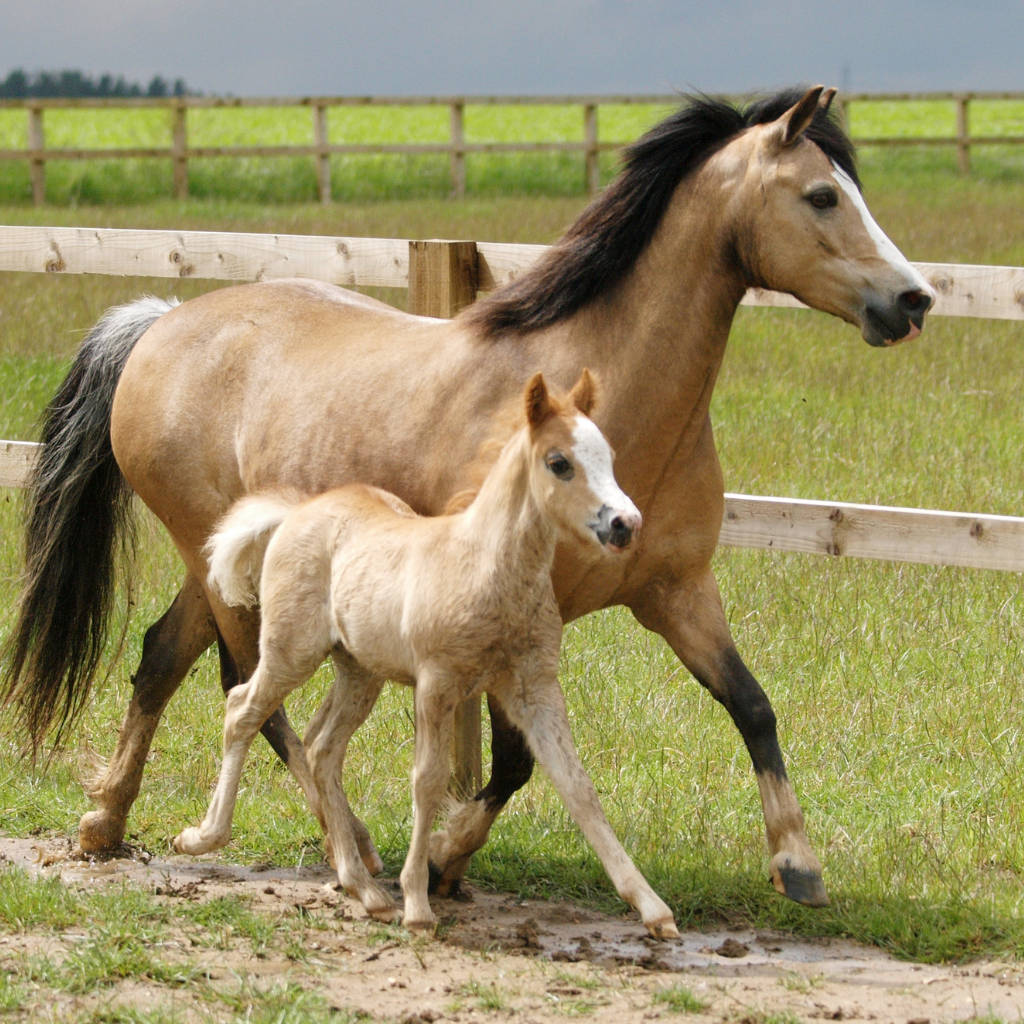 Ce qu'il faut retenir