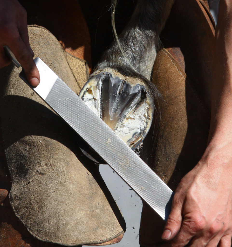 Quelle prise en charge ?