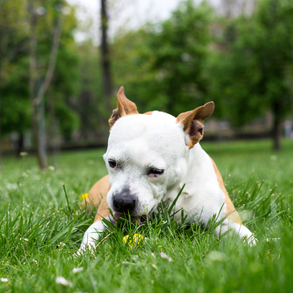 Ce comportement est-il toujours normal ?
