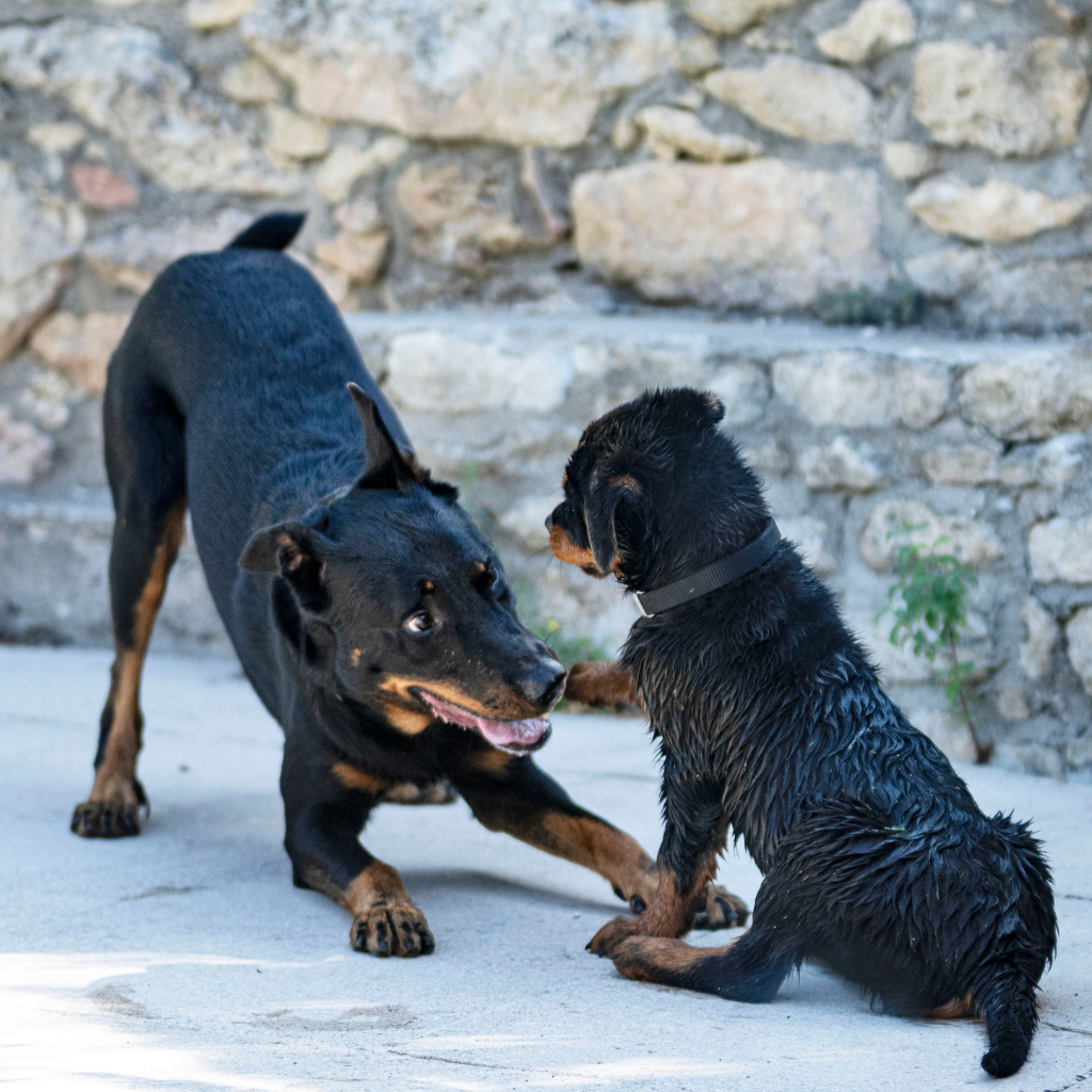 Éducation et sociabilité